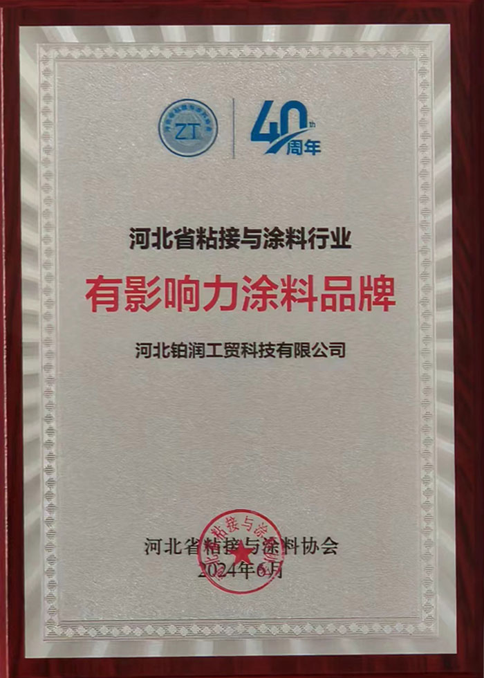 有影响力的涂料品牌